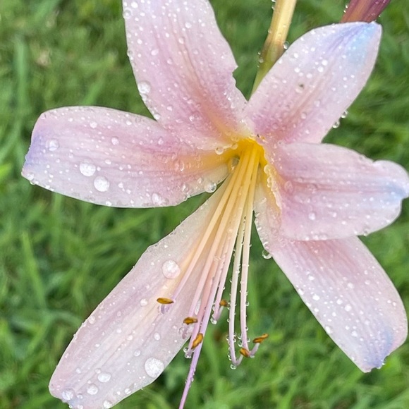 ✨Bookmark me✨ - Picture 6 of 16